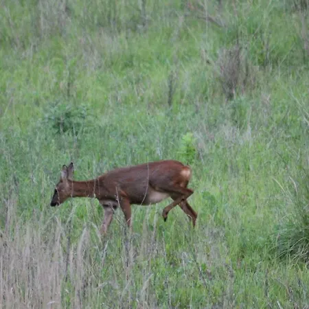 Au Perchoir De La Chouette Ferienhaus Verneuil-en-Halatte